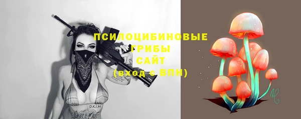 тгк Арсеньев