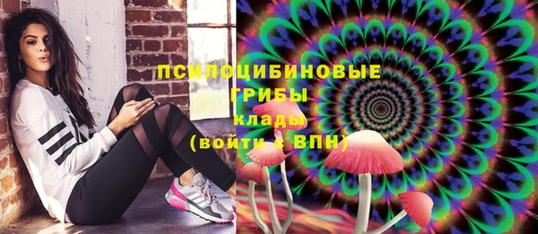 тгк Арсеньев
