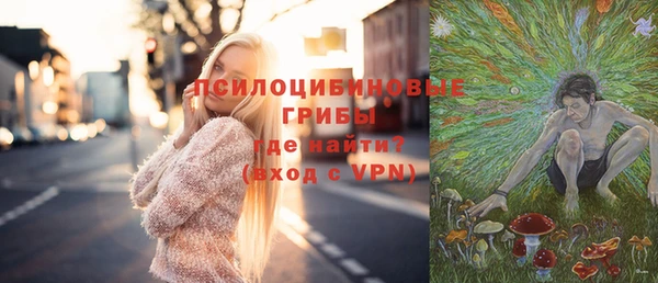 тгк Арсеньев